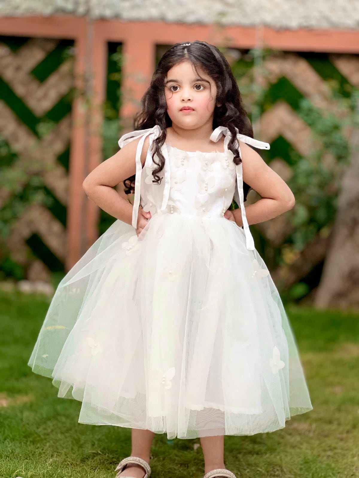 Twairy Butterfly Frock