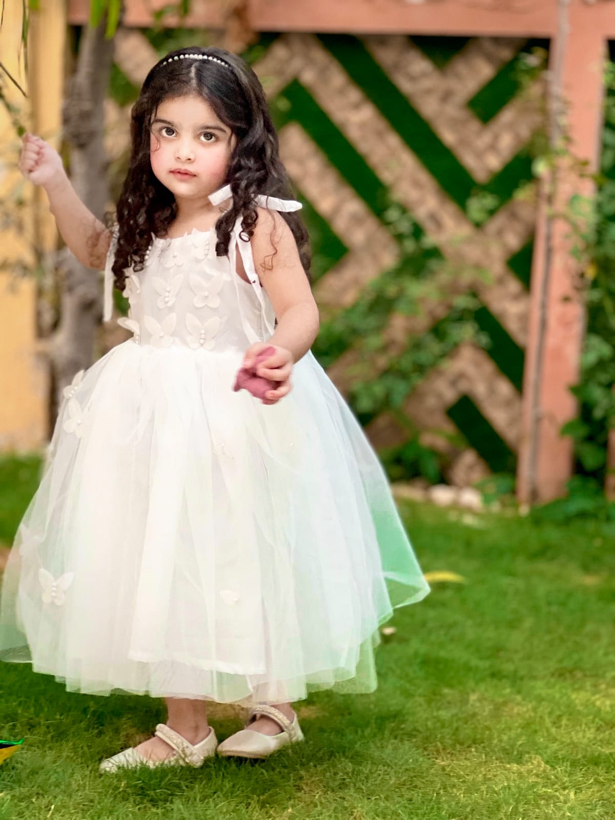 Twairy Butterfly Frock