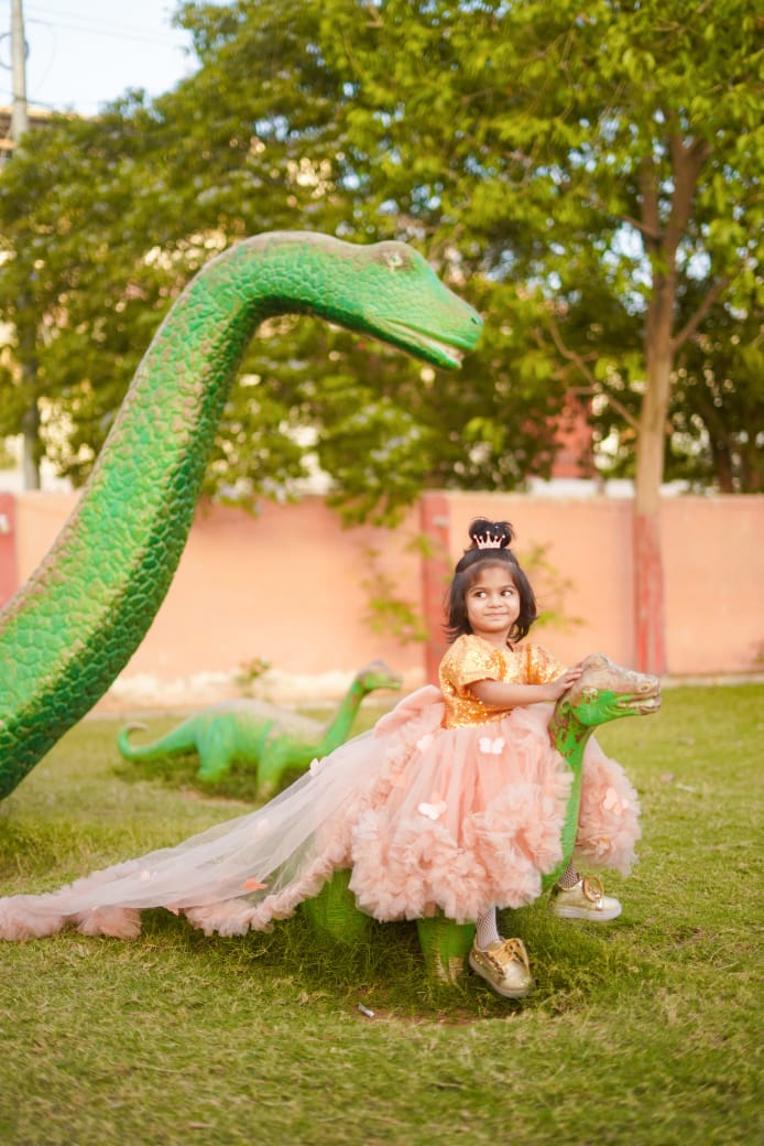 Butterfly peach Frock