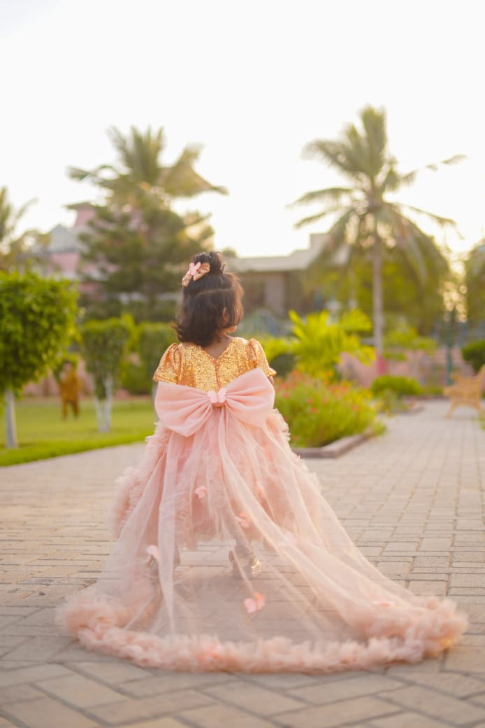 Butterfly peach Frock